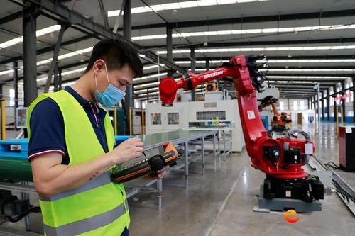 项目千帆竞 发展热潮涌——全市重点项目上半年现场观摩首日见闻聚焦智能机器人销售